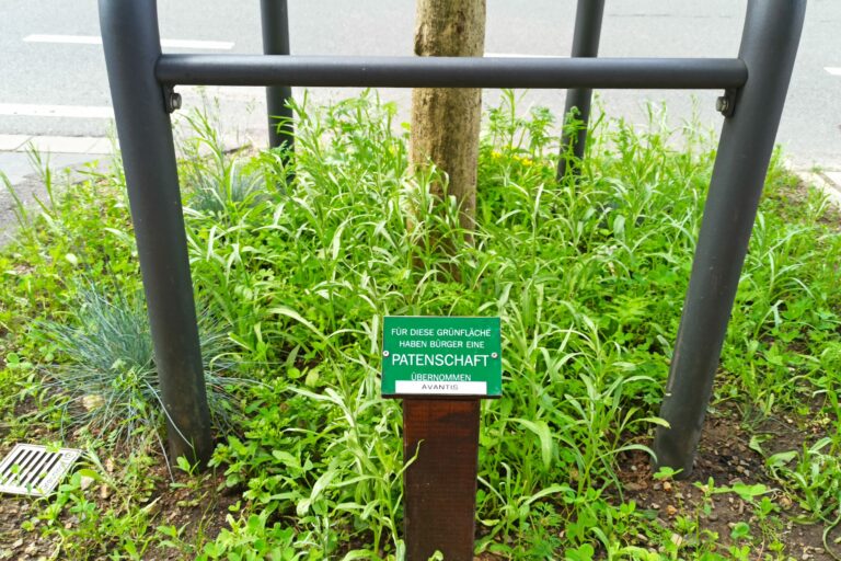 Pflegedienst Aachen Avantis Gruenflaeche