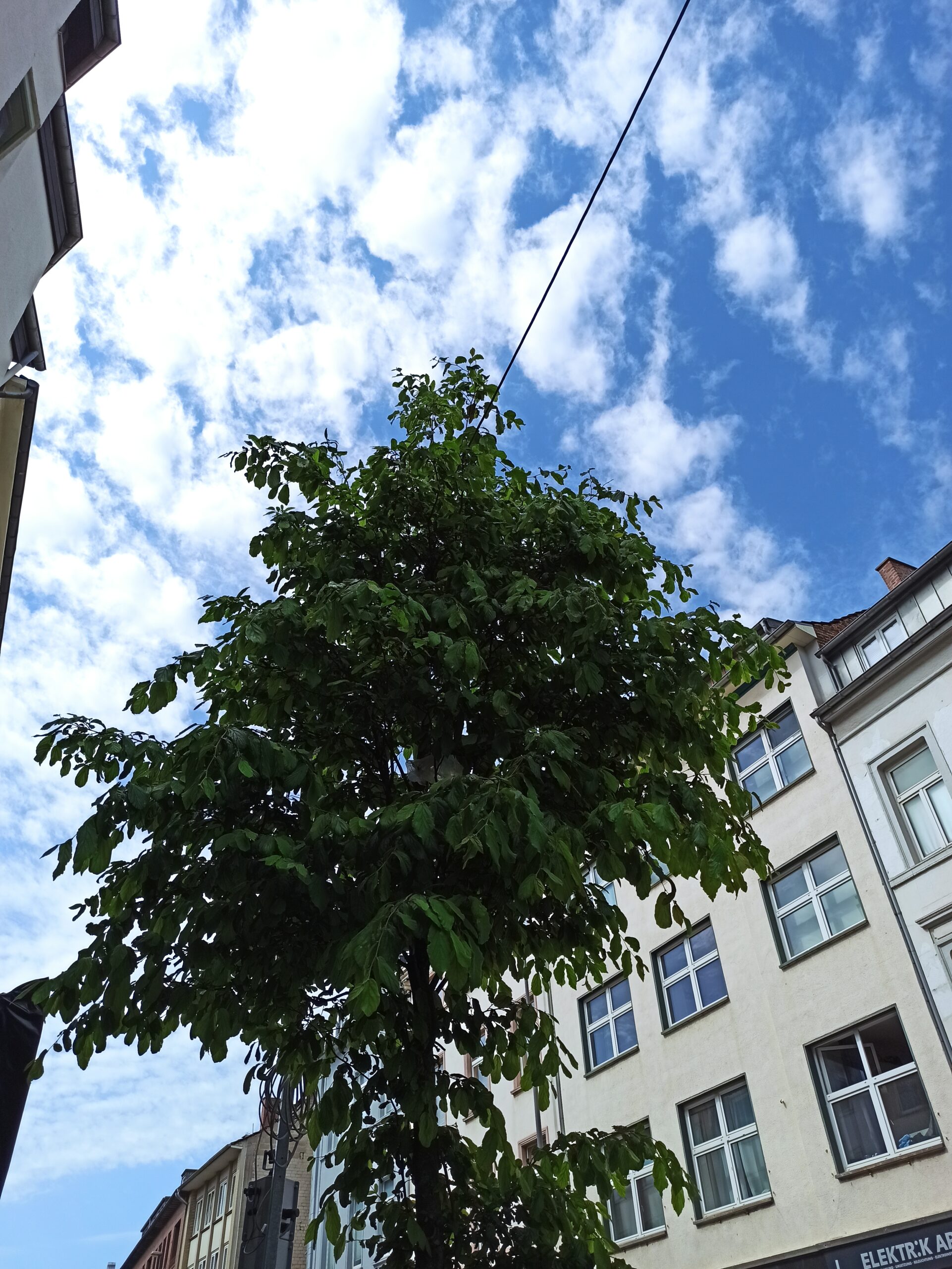 Gruenflaeche Aachen Pflegedienst Avantis