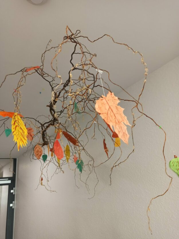 Pflegedienst Aachen Avantis