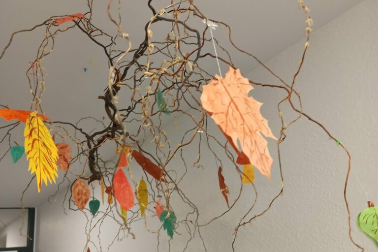 Pflegedienst Aachen Avantis